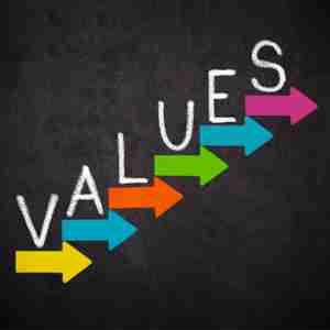 Omega Insurance Brokers - Values