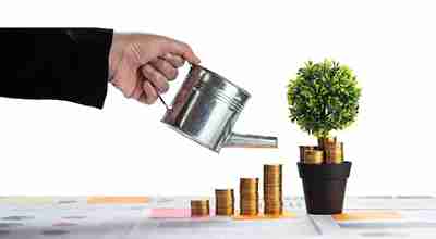 Wealth Management Planning